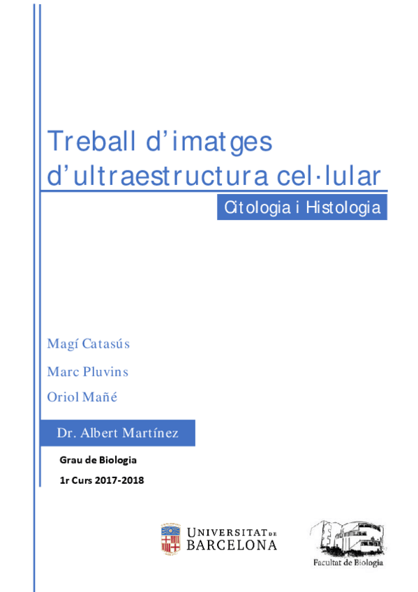 Miniatura del documento Treball Ultraestructura.pdf