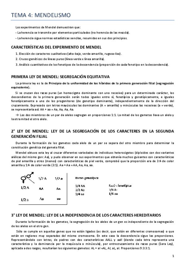 Miniatura del documento Tema 4 Genética.pdf