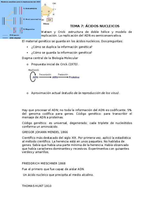 Miniatura del documento Tema 7.odt