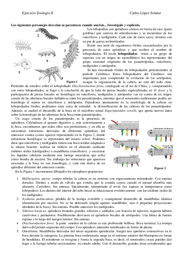 Miniatura del documento Cuestionario 1 Zoología.docx