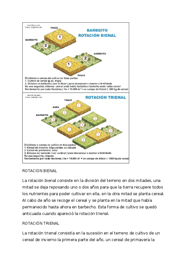Miniatura del documento Ejercicio obligatorio 1.1.docx