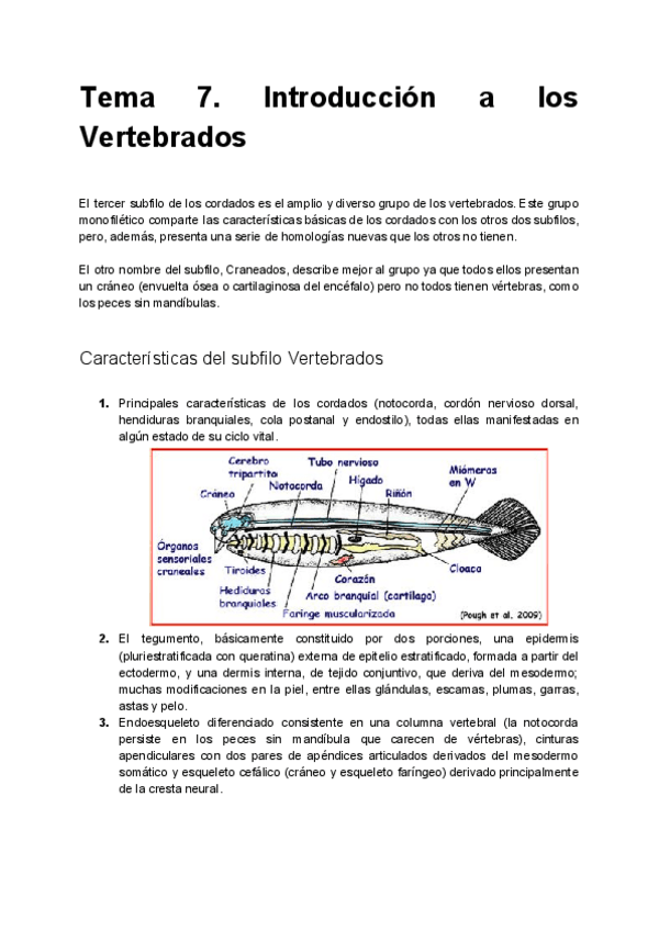 Miniatura del documento Tema 7. Introducción a los Vertebrados.pdf