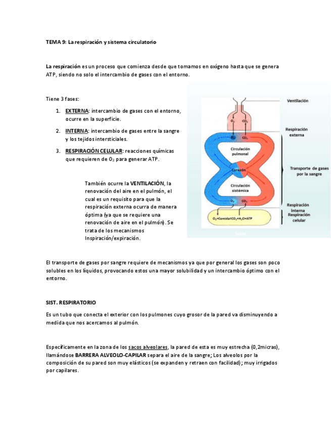 Miniatura del documento tema 9.pdf