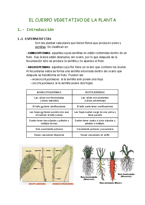 Miniatura del documento (*) TEMA 9 BIO UNI.pdf
