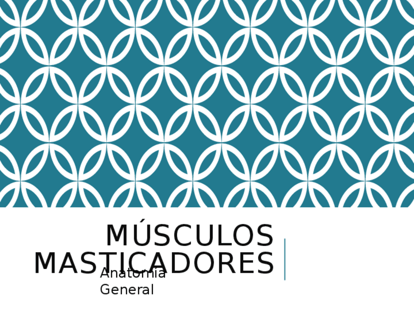 Miniatura del documento MÚSCULOS-MASTICADORES.pptx