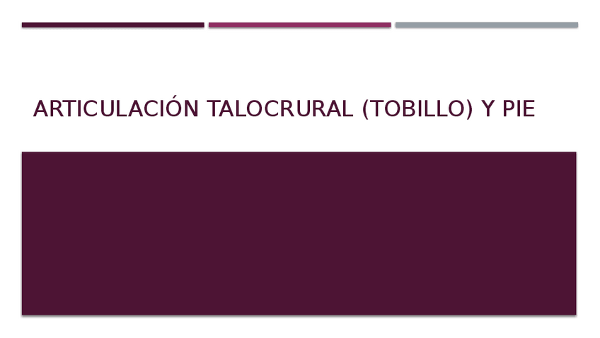 Miniatura del documento Articulación-talocrural-tobillo-y-pie.pptx