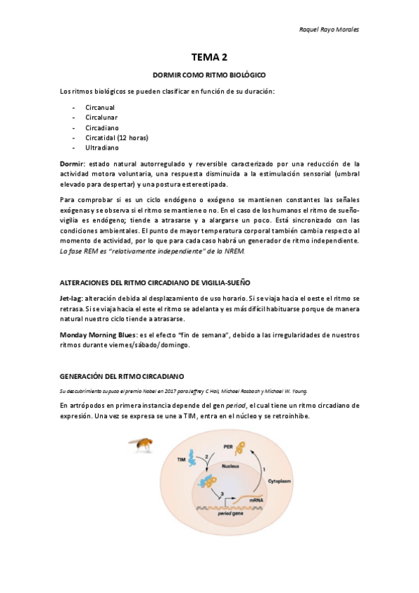 Miniatura del documento Apuntes T2.pdf