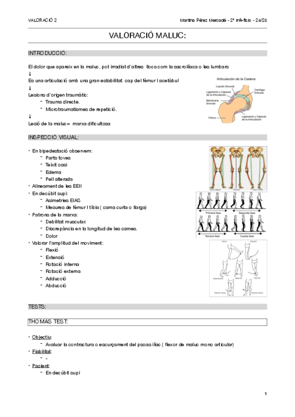 Miniatura del documento Valoracio-maluc.pdf