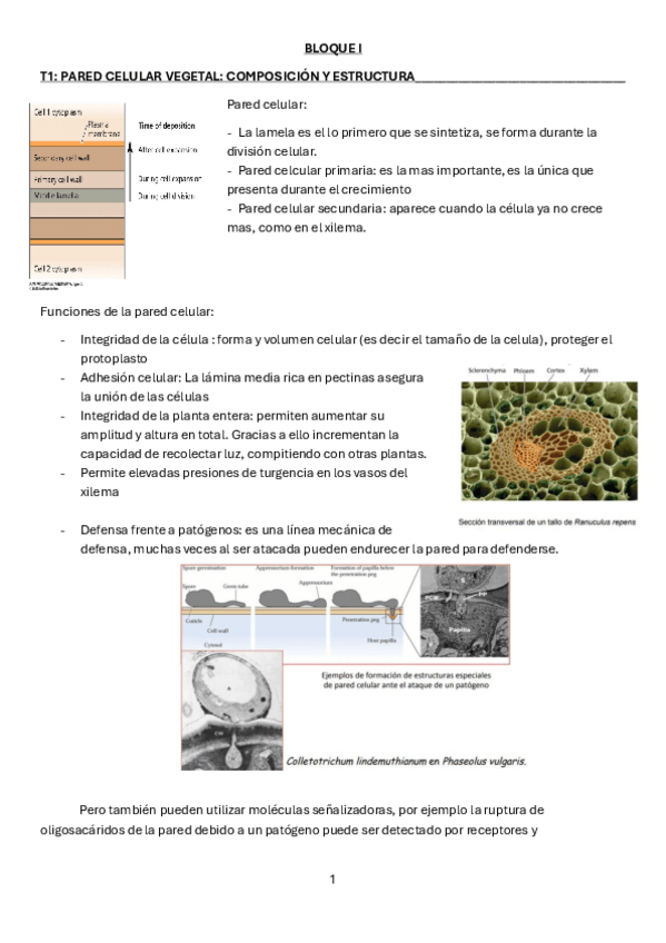 Miniatura del documento BLOQUE-I-fv.pdf