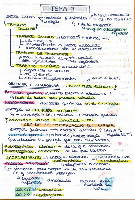 Miniatura del documento Tema-3-bioquimica.pdf