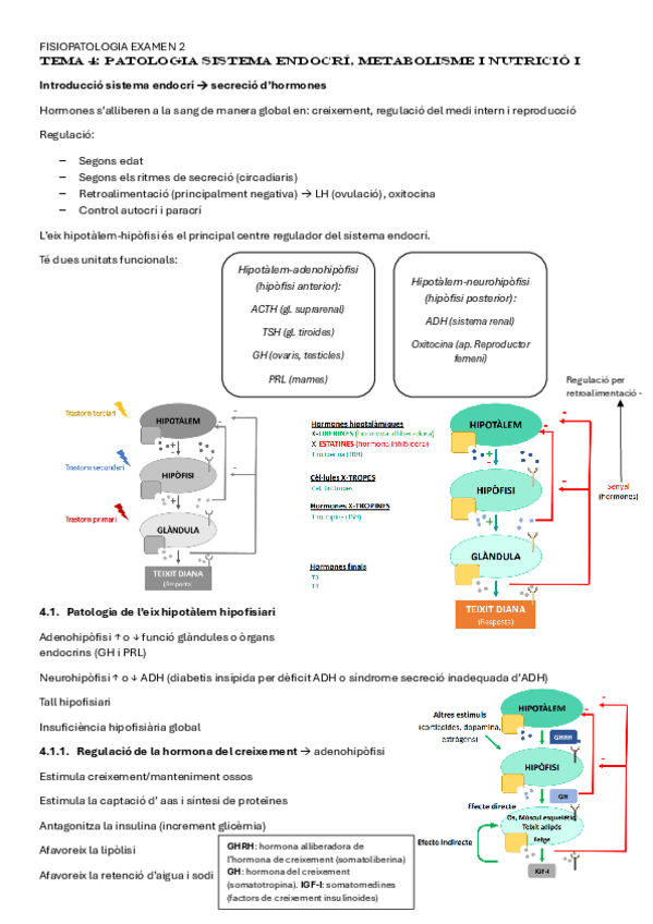 Miniatura del documento Fisiopatologia-temes-4-5-i-6.pdf