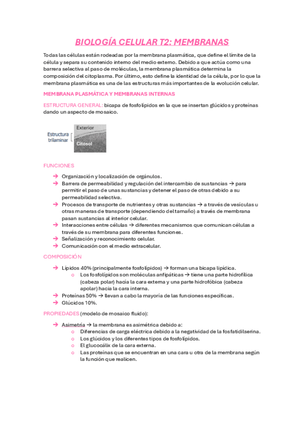 Miniatura del documento BC-T2-IMPRIMIR.pdf