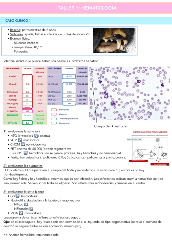 Miniatura del documento Taller-1-PG.pdf