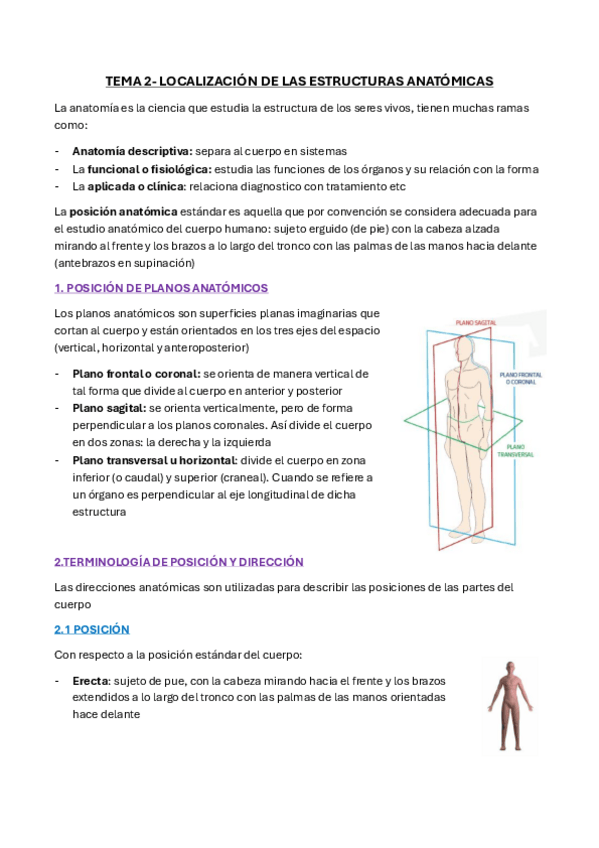 Miniatura del documento TEMA-2-LOCALIZACION-DE-LAS-ESTRUCTURAS-ANATOMICAS.pdf