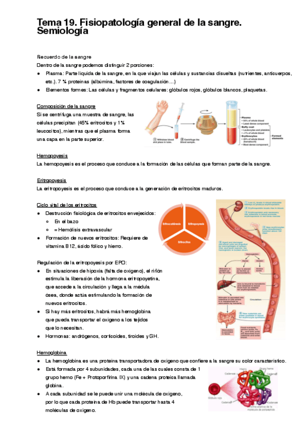Miniatura del documento Tema-19.pdf