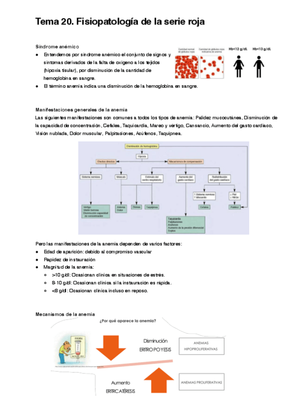 Miniatura del documento Tema-20.pdf