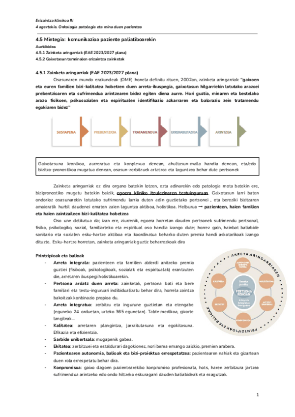 Miniatura del documento 4.5-Mintegia-komunikazioa-paziente-paliatiboarekin-Documentos-de-Google.pdf