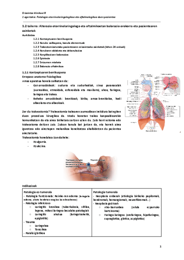 Miniatura del documento 1.2-tailerra-Alterazio-otorrinolaringologo-eta-oftalmikoetan-balorazio-orokorra-eta-pazientearen-zainketak-Documentos-de-Google.pdf