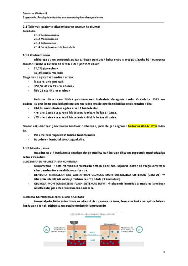 Miniatura del documento 2.1-Tailerra-paziente-diabetikoaren-osasun-hezkuntza-Documentos-de-Google.pdf