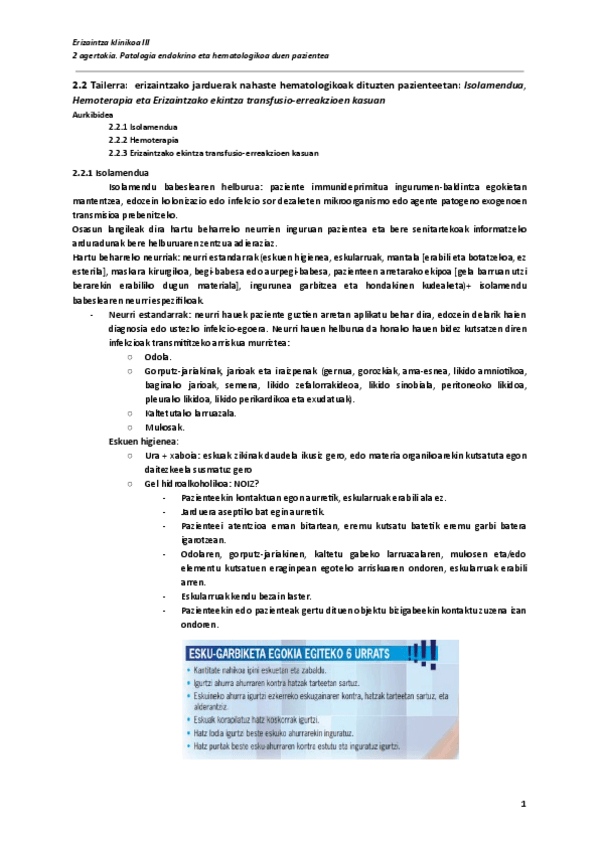 Miniatura del documento 2.2-Tailerra-erizaintzako-jarduerak-nahaste-hematologikoak-dituzten-pazienteetan-Documentos-de-Google.pdf