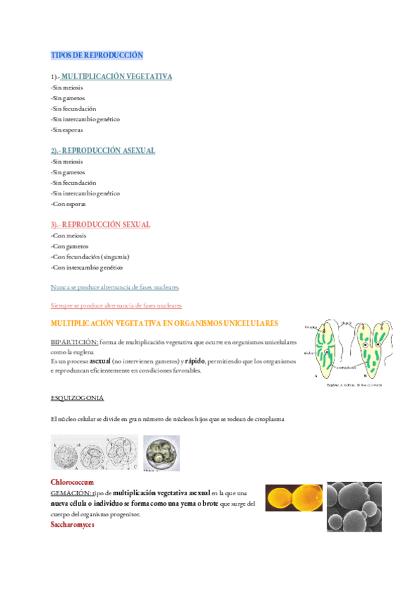 Miniatura del documento botanica-tema-4.pdf