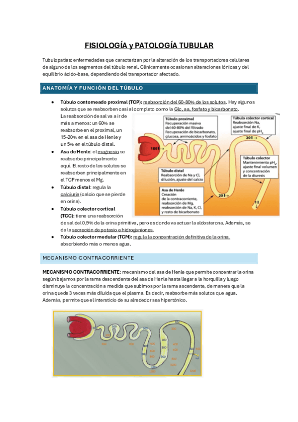 Miniatura del documento TUBULOPATIAS.pdf