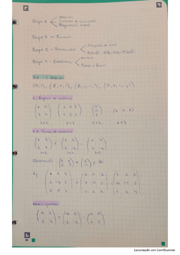 Miniatura del documento Matematicas-tema-1-matrices.pdf