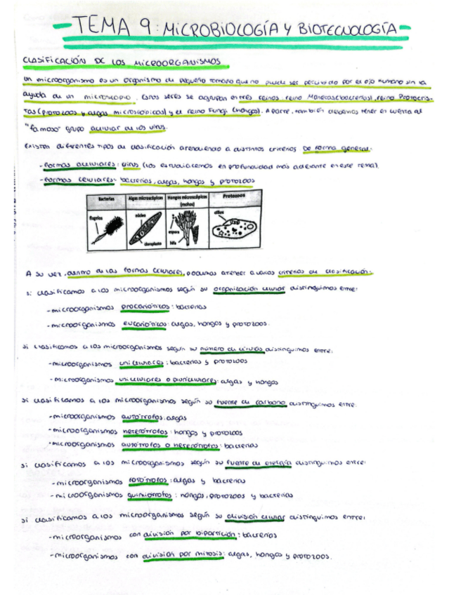 Miniatura del documento microbiologia-y-biotecnologia.pdf