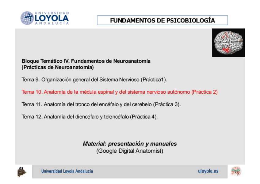 Miniatura del documento 2.1-Pract-Fund.-Biologia-Medula-y-SNA-Dolores-Vivancos.pdf