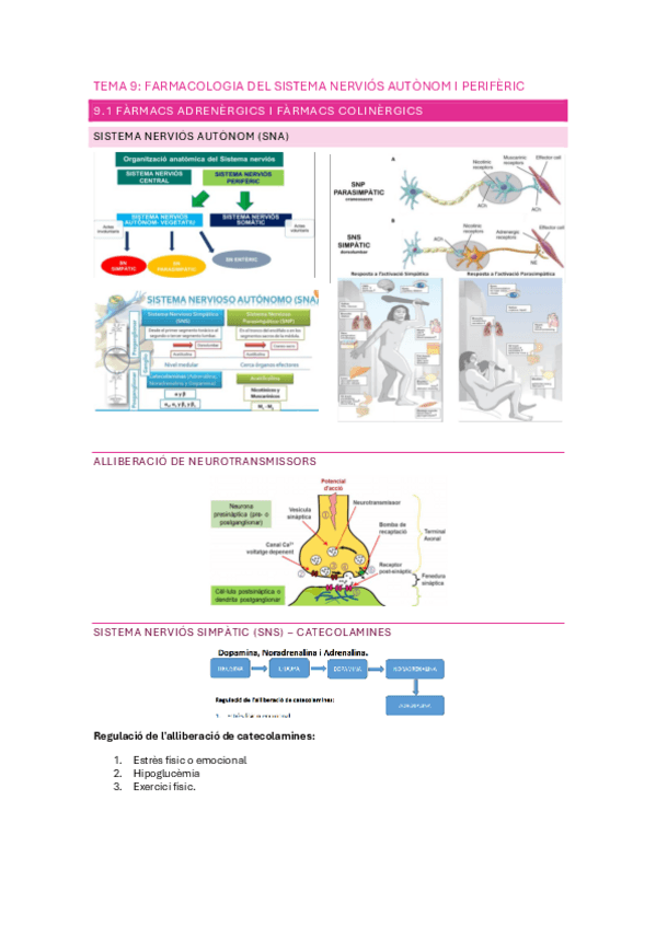 Miniatura del documento TEMA-9.-FARMACOLOGIA.pdf