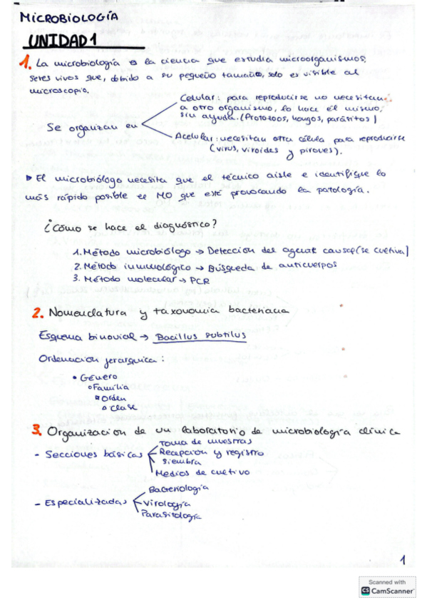 Miniatura del documento apuntes-micro.pdf