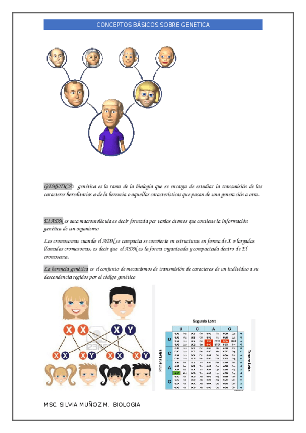 Miniatura del documento CONCEPTOS-BASICOS-SOBRE-GENETICA.docx