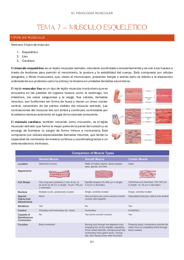 Miniatura del documento Tema-7-Estructura-y-Funcion-del-Cuerpo-Humano-I-Fisiologia.pdf