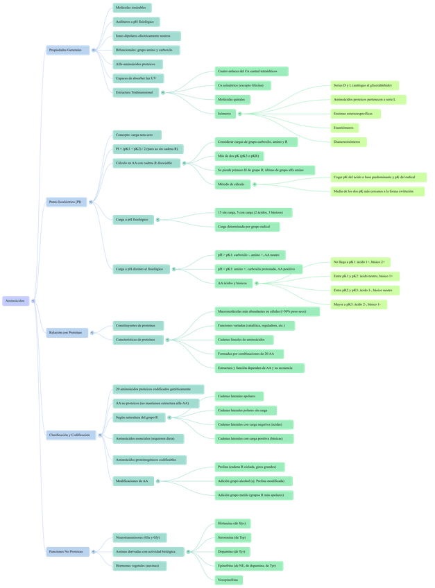 Miniatura del documento aminoacidos.png