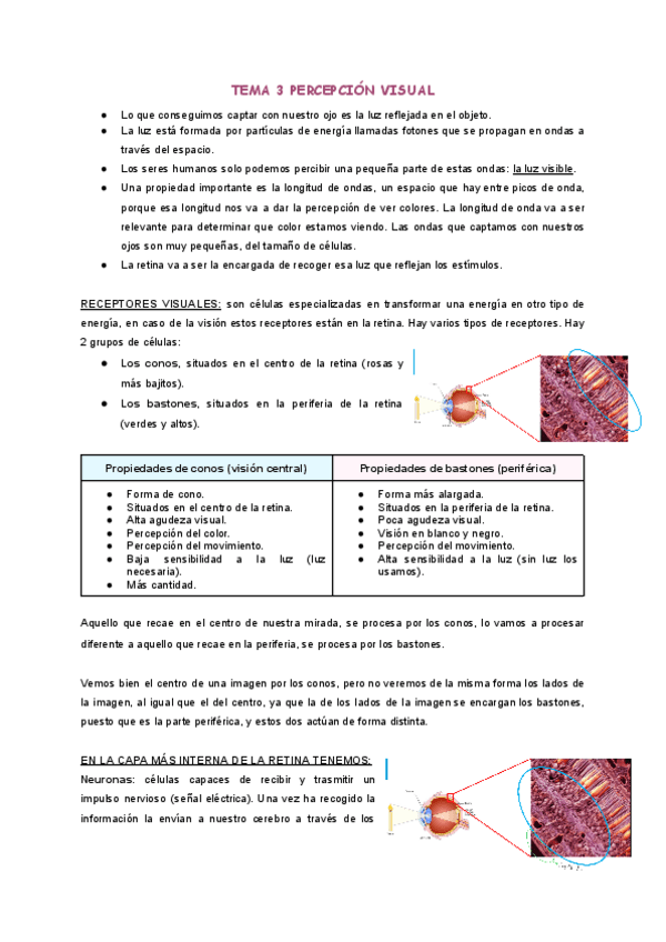 Miniatura del documento Tema-3-Percpecion-visual.pdf