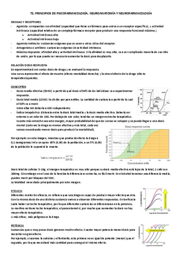 Miniatura del documento B1-T2.pdf