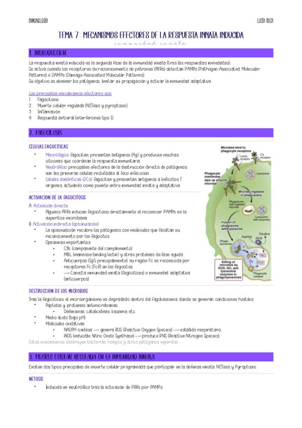 Miniatura del documento apunts-inmuno-tema-7.pdf