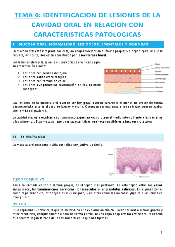 Miniatura del documento TEMA-6.-IDENTIFICACION-DE-LESIONES-DE-LA-CAVIDAD-ORAL.pdf