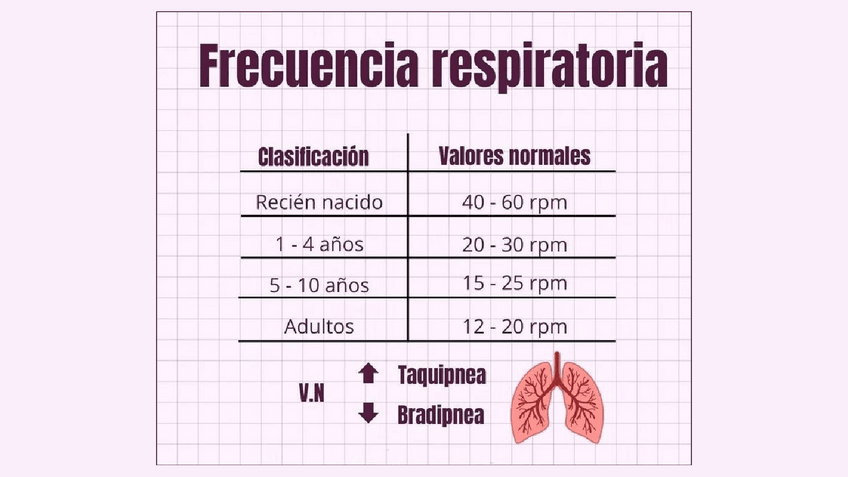 Miniatura del documento FRECUENCIA-RESPIRATORIA.pdf