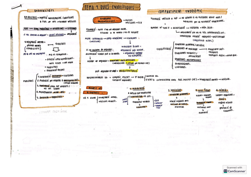 Miniatura del documento Tema-9-rutes-endocitiques.pdf