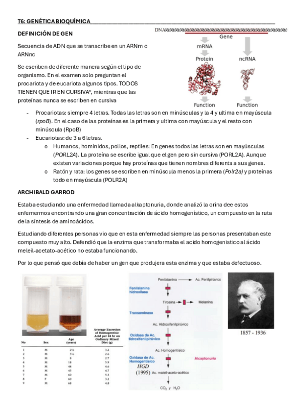 Miniatura del documento Genetica-apuntes-part2.pdf