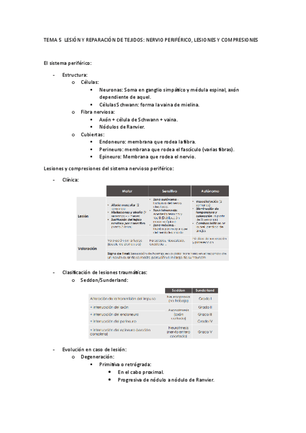 Miniatura del documento TEMA-5-ICP.pdf