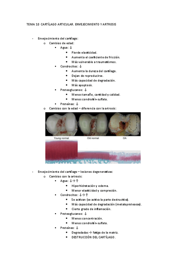 Miniatura del documento TEMA-10-ICP.pdf