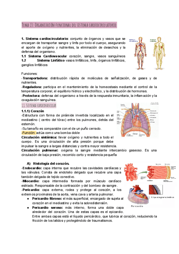 Miniatura del documento modulo4fisiologia.pdf
