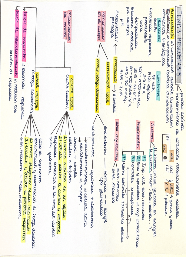 Miniatura del documento Esquema-Tema-3-anatomia.pdf