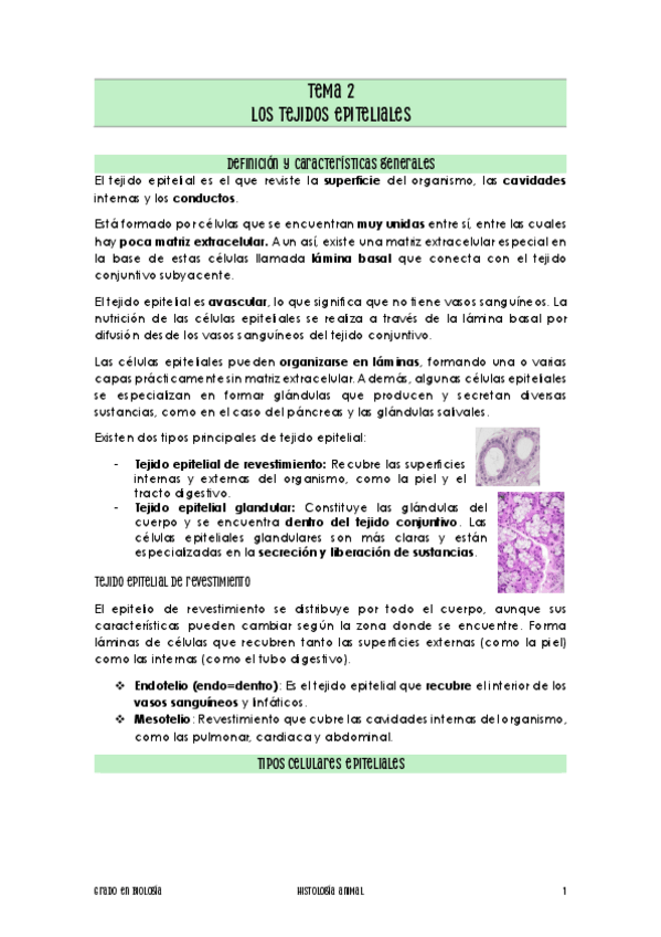 Miniatura del documento Tema-2.pdf.pdf