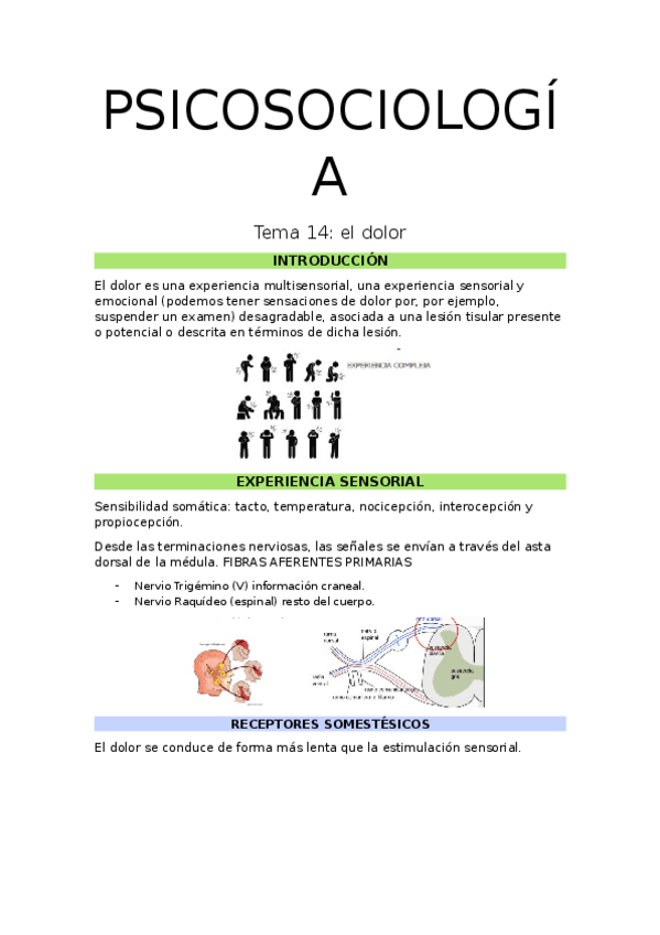 Miniatura del documento PSICOSOCIOLOGIA-SANITARIA-14.docx