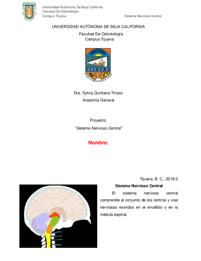 Miniatura del documento Sistema-Nervioso..docx