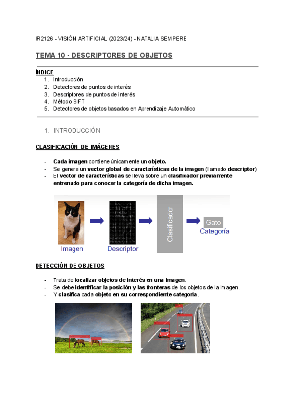 Miniatura del documento T10-Descriptores-de-objetos.pdf