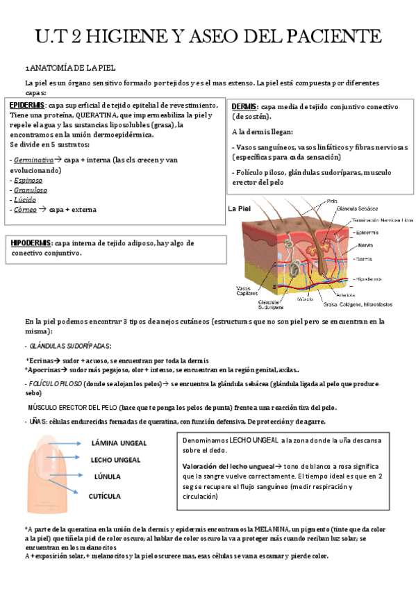 Miniatura del documento U.T-2-HIGIENE-Y-ASEO-DEL-PACIENTE-piel.pdf